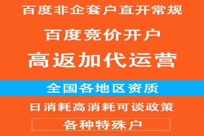 百度推广运营策略案例：品牌提升的捷径